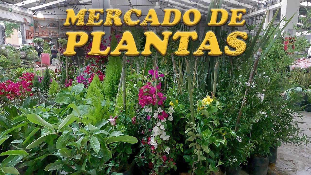 Colombia Mercado Nacional de Plantas, aromáticas, jardín, abono, fertilizantes