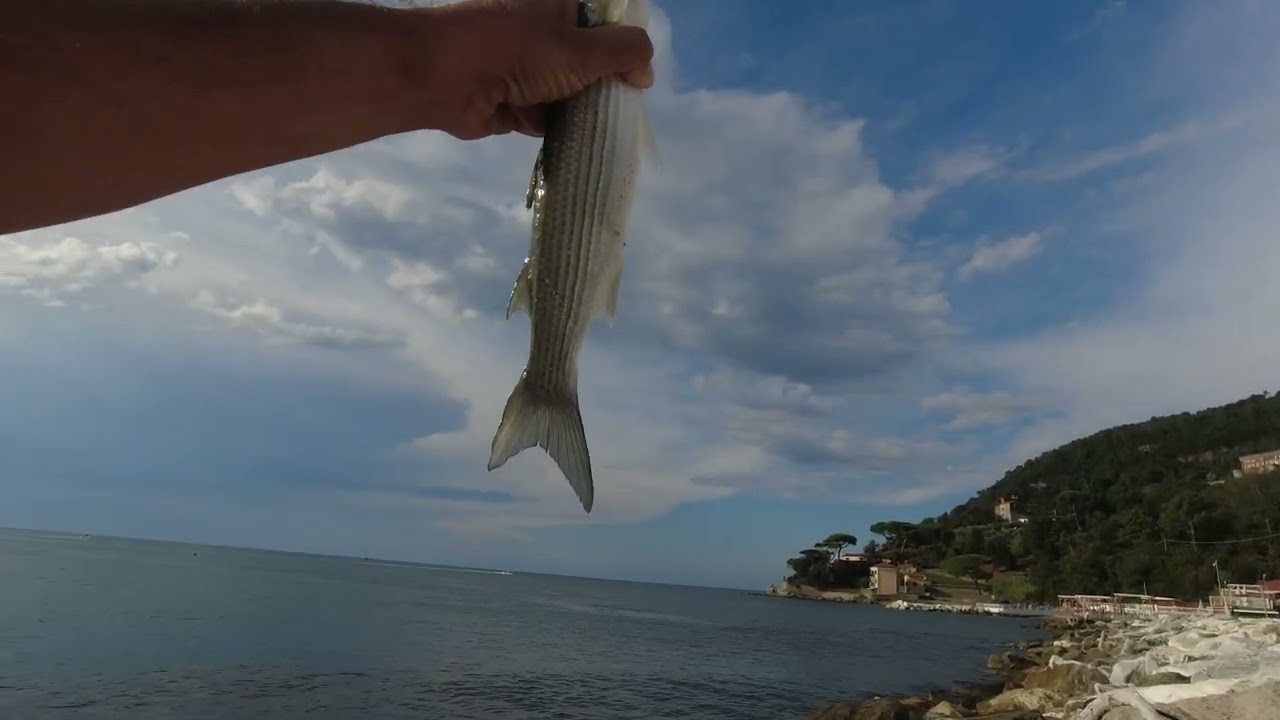 Muggini a Method a Bocca di Magra