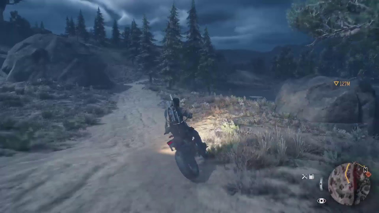 Days Gone