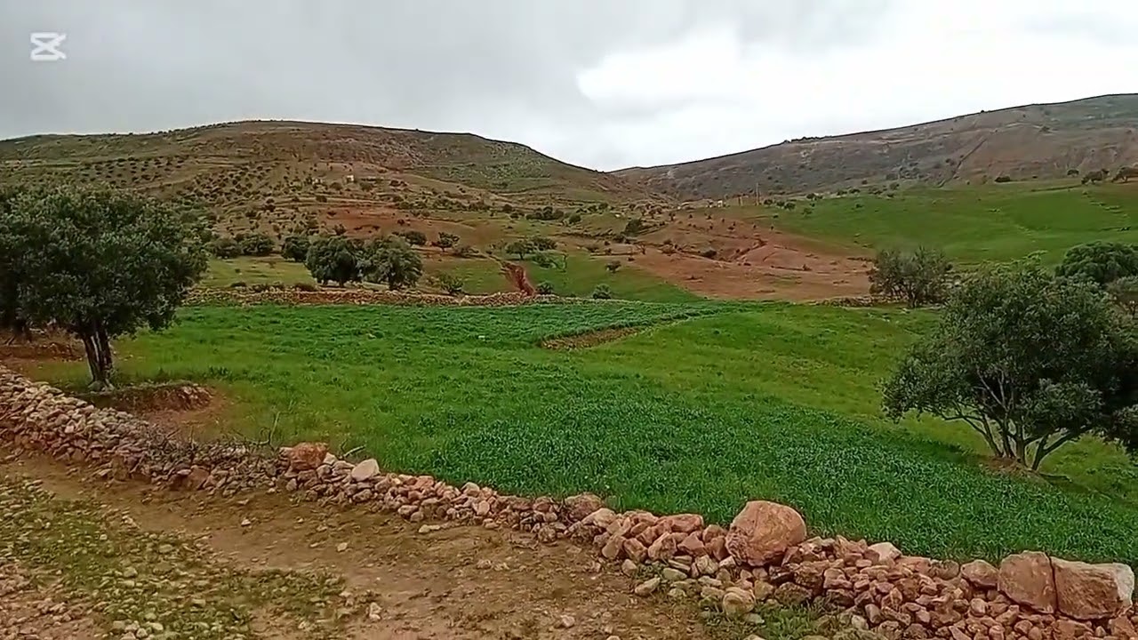 نواحي شياضمة طبيعة خلابة 