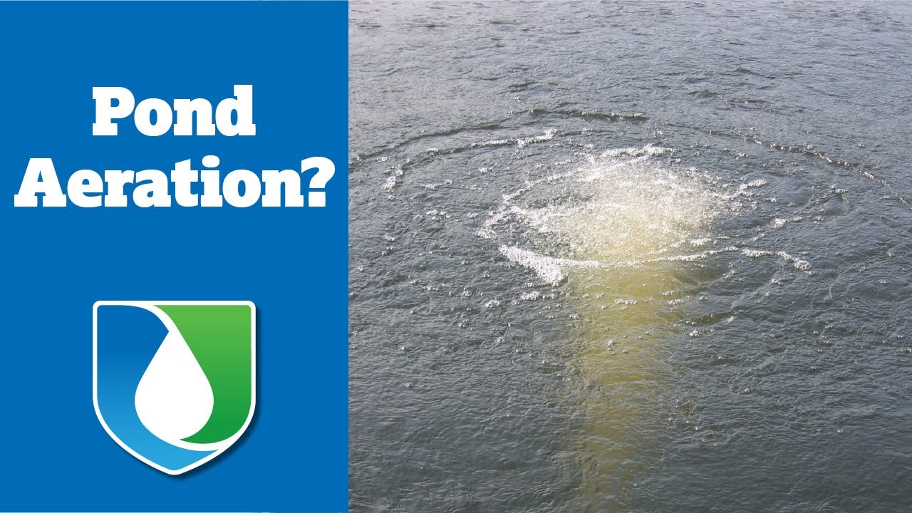 Pond & Lake Aeration Explained