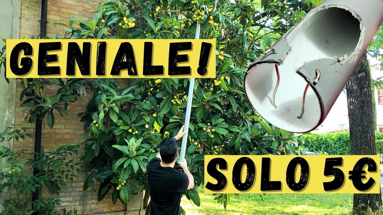 Come RACCOGLIERE la FRUTTA Senza Scala con questo ATTREZZO Fai-da-Te!