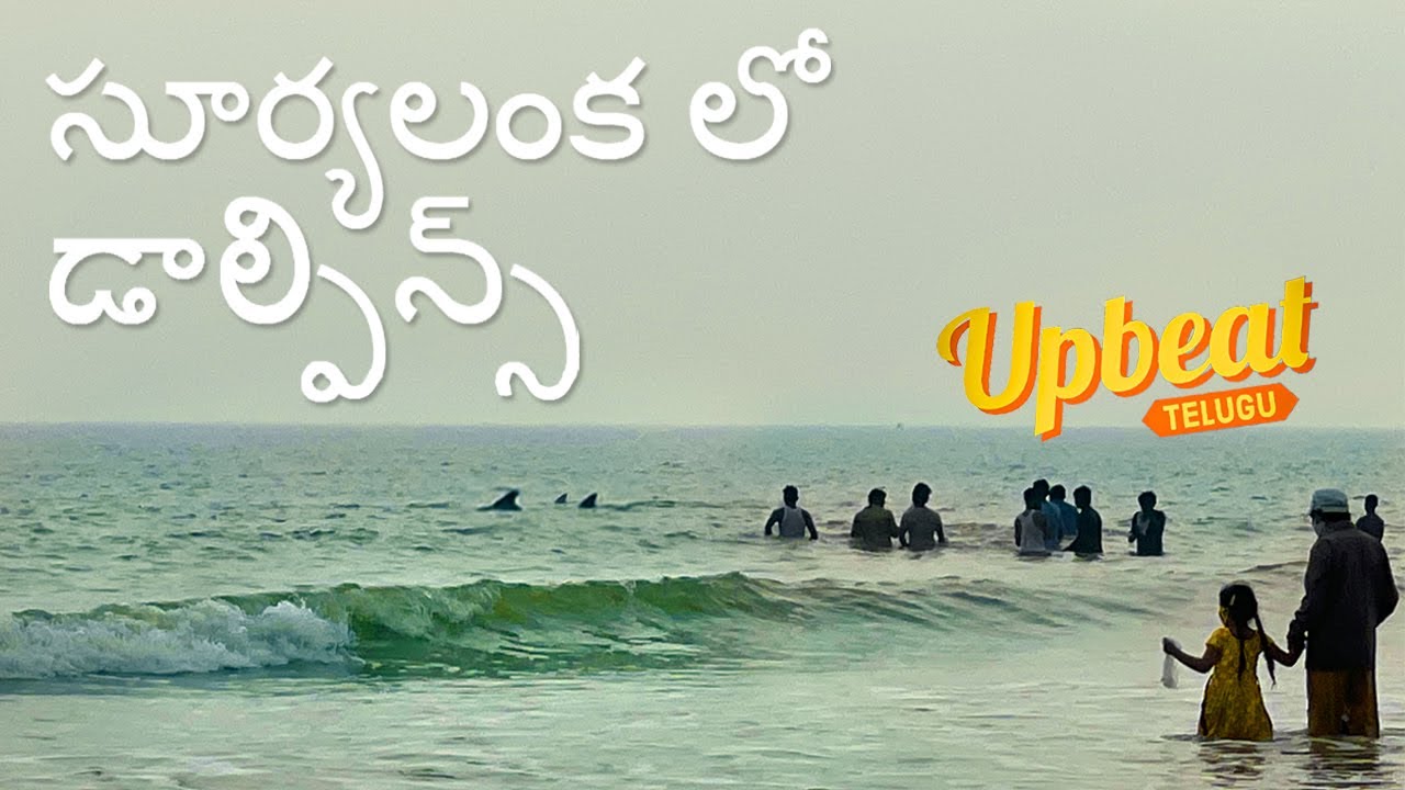Dolphins play close to people at SuryalankaBeach, Bapatla #Guntur #teluguvlog #suryalankabeach