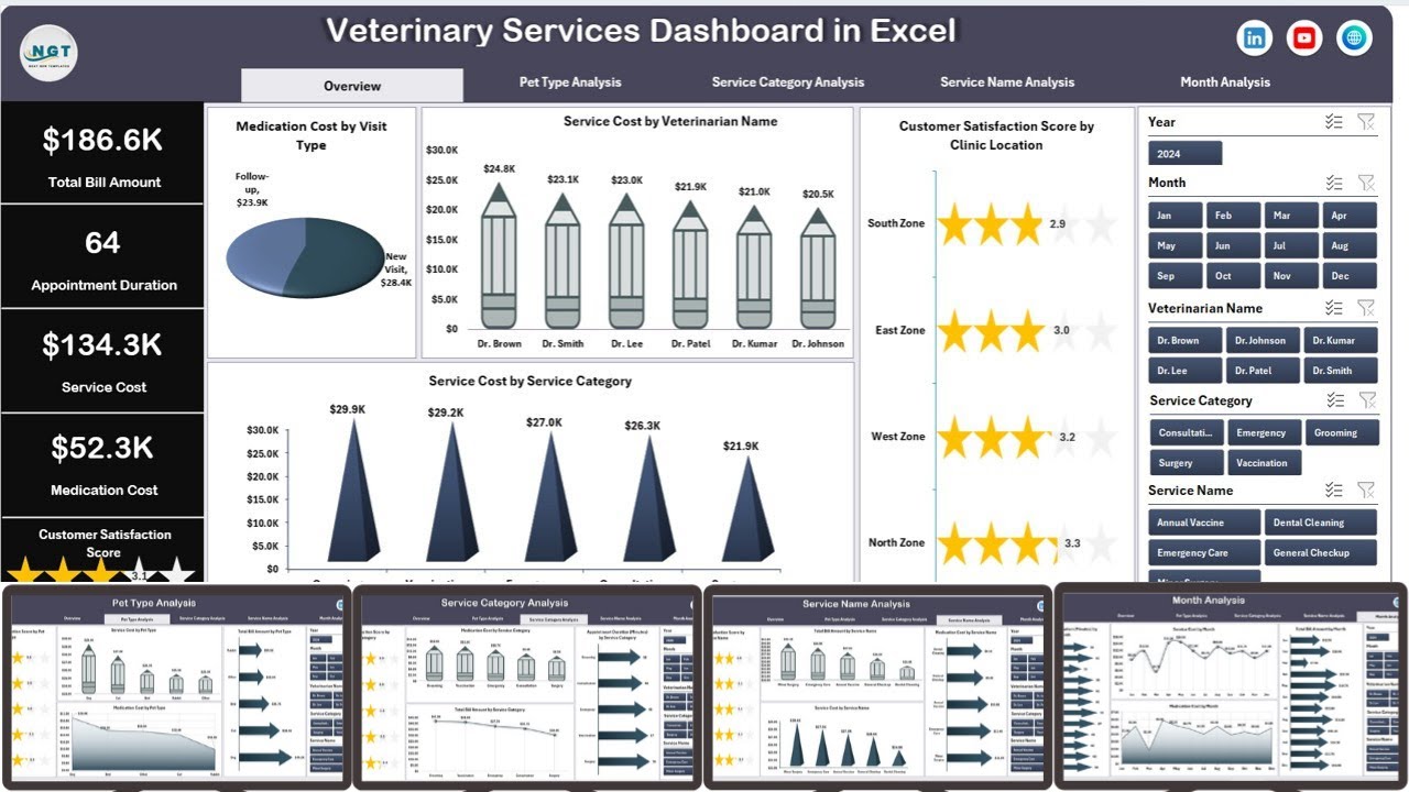 Veterinary Services Dashboard in Excel