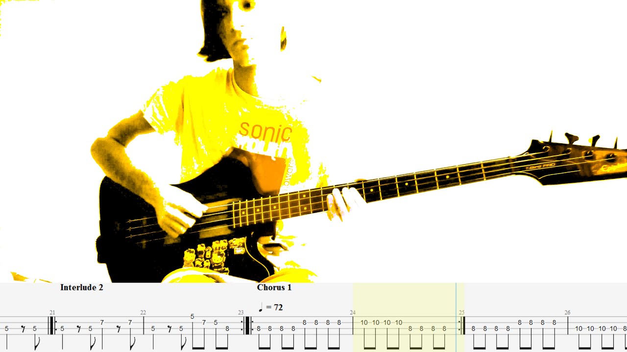 Venus In Furs — The Velvet Underground — Bass cover with tabs (4k)