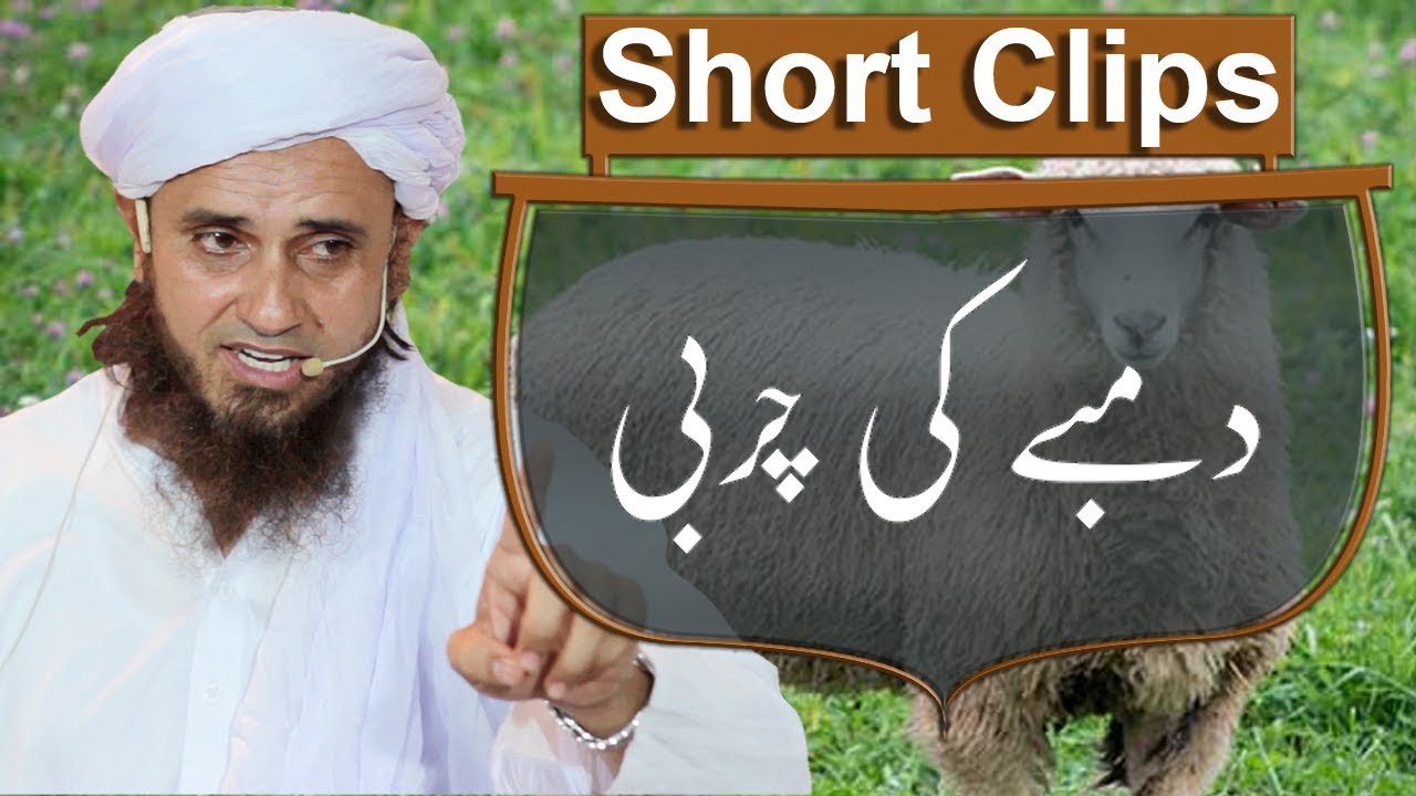 Dumbay ki  Charbi | Mufti Tariq Masood