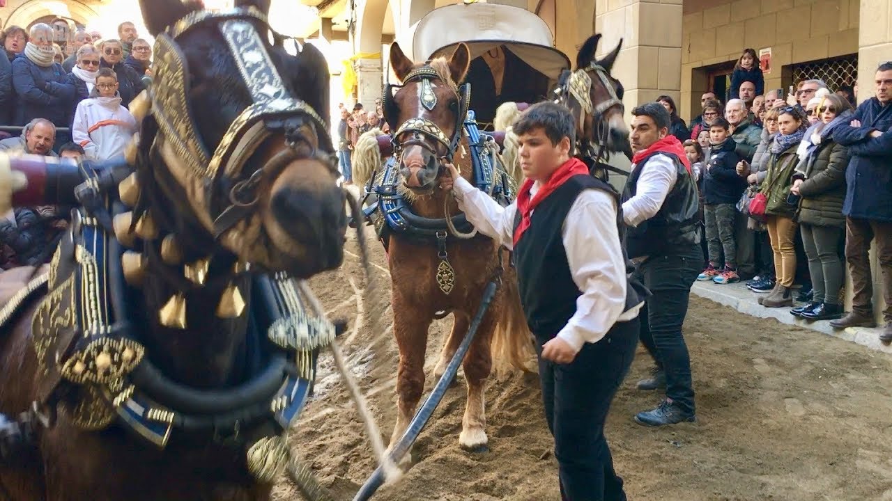 41a Edició dels Tres tombs de Sant Antoni de Valls (Tomb de l'Ajuntament)