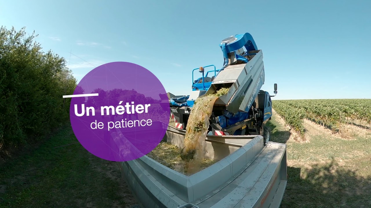Responsable d’exploitation au domaine viticole des Doussaints : le métier en 360°