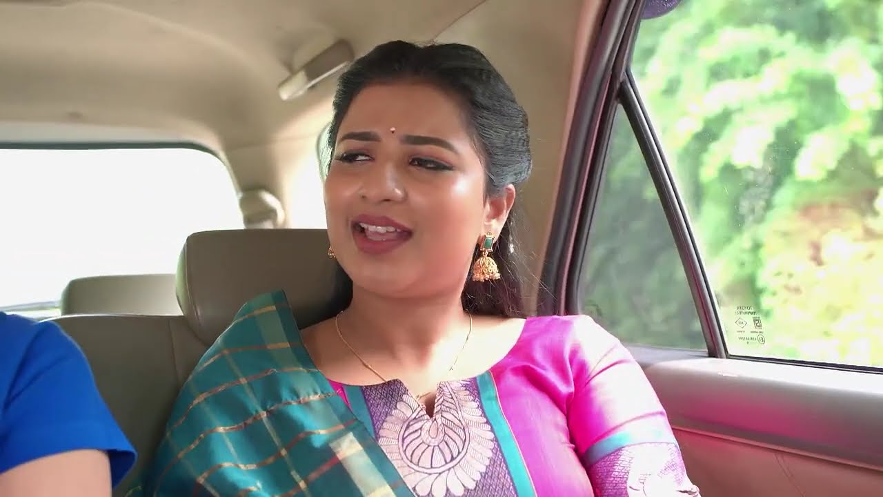 Karthigai Deepam - Full Ep - 672 - Karthikeyan, Deepa, Abirami - Zee Tamil