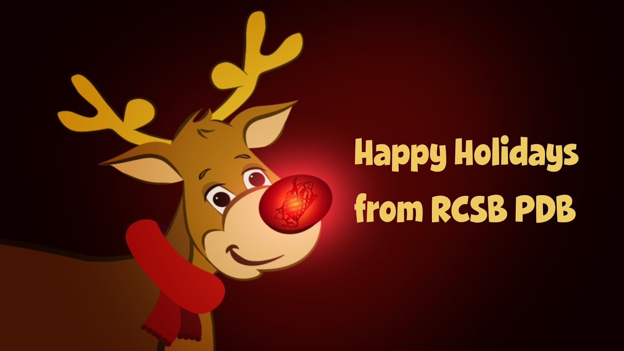 Happy Holidays from RCSB PDB