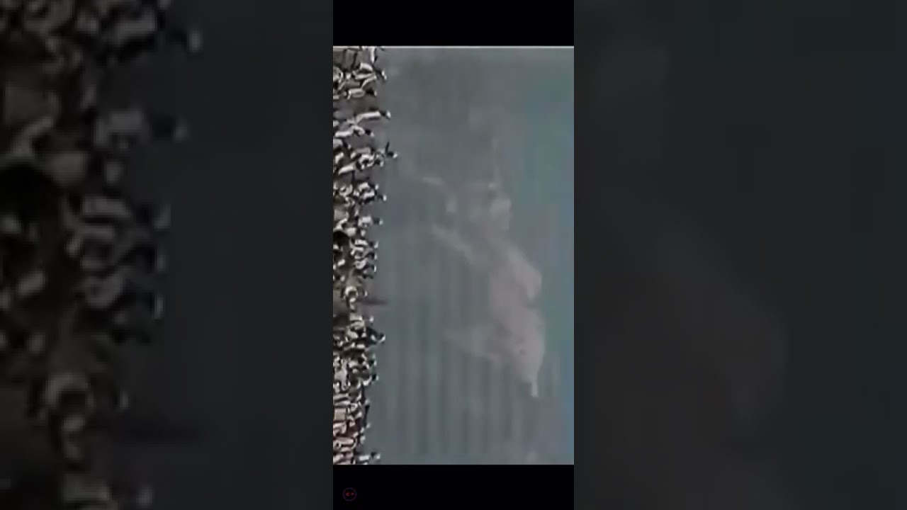 Malot&euml; Gjeka Trieshjani