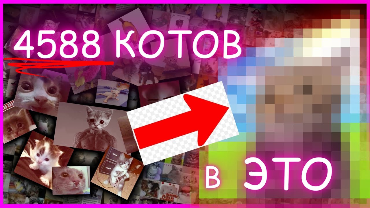 превращаю 4588 КОТОВ в ЭТО..