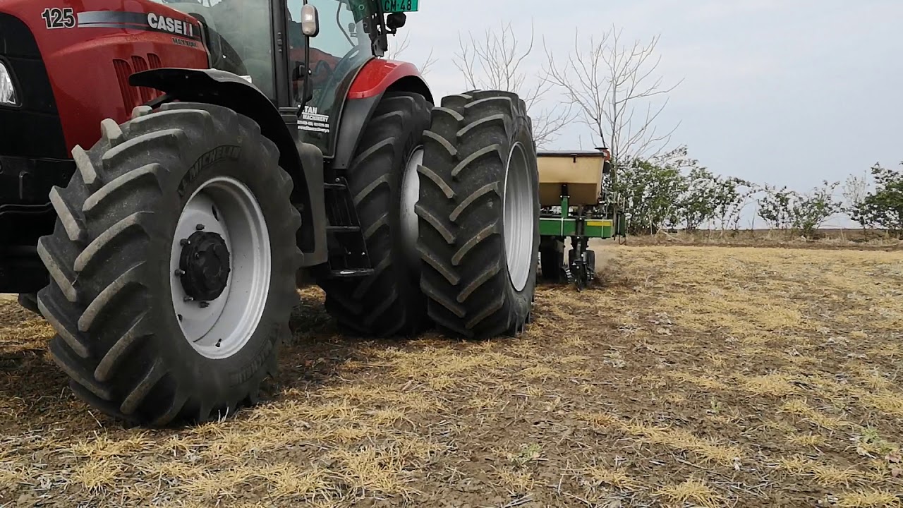 Case maxum 125 i great-plains direktna setva kukuruza na uljanoj repici