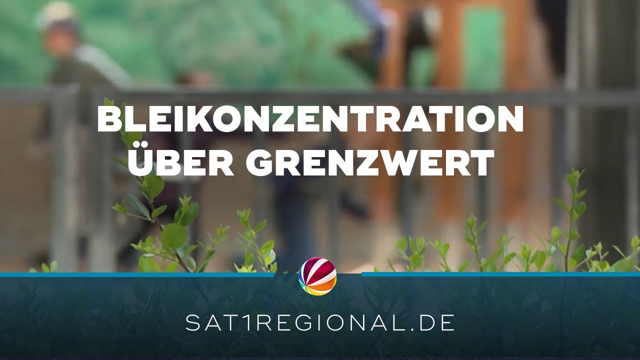 Goslar: Bleikonzentration im Blut von Kindern deutlich über dem Referenzwert