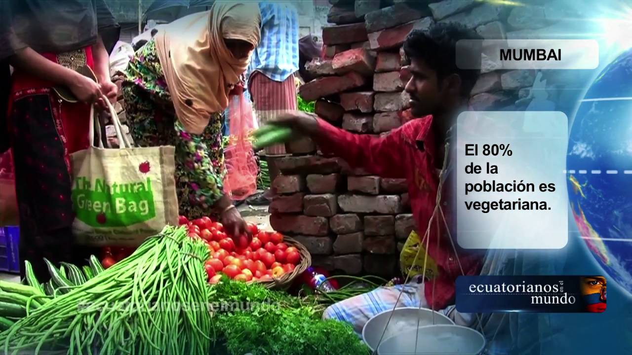 ECUATORIANOS EN EL MUNDO CON GALO ARELLANO MUMBAI INDIA ANDREA STADLER 2-2