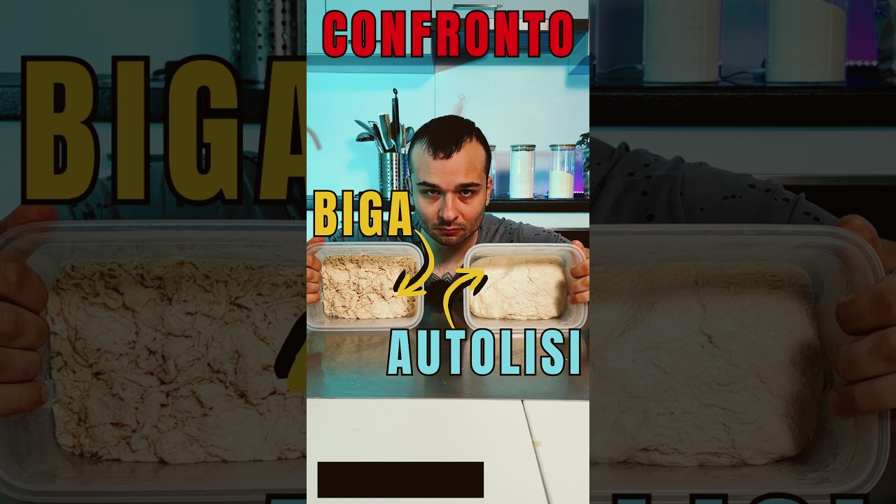Biga o autolisi? NON sono uguali #pizza #pizzafattaincasa #biga #autolisi