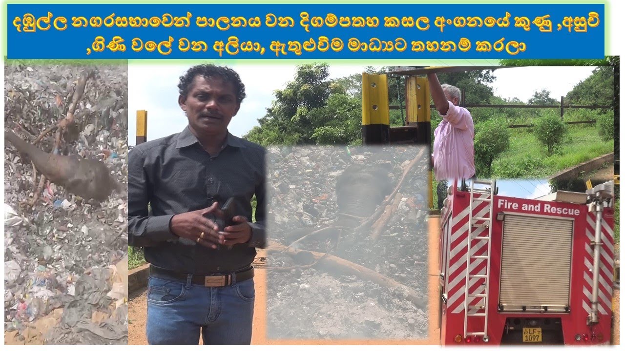aliya kunu wale  දිගම්පතහ කසල අංගනයේ කුණු ,අසුචි ,ගිණි වලේ වන අලියා ඇතුළුවීම මාධ්‍යට තහනම් කරලා