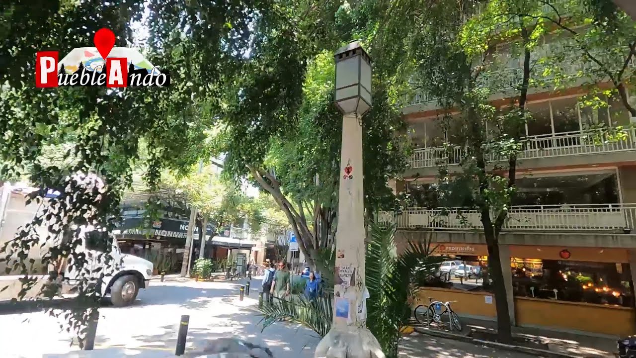 La CONDESA tiene una avenida que fue un hip&oacute;dromo 🏇🐴