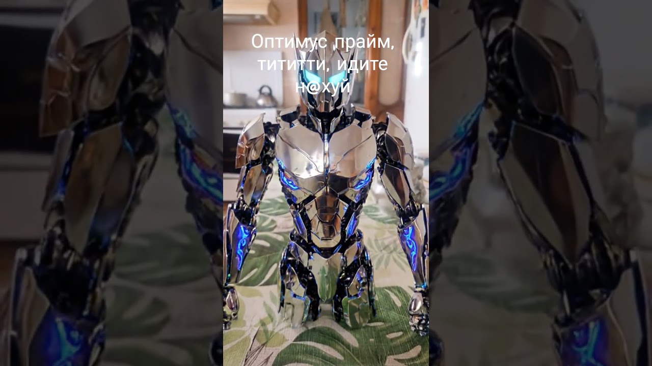 КИБОРГ БАНКИЦА