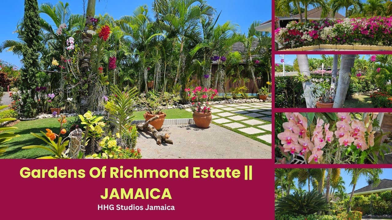 Gardens of Richmond Estate || JAMAICA