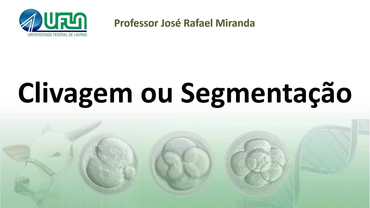 Clivagem ou Segmentação