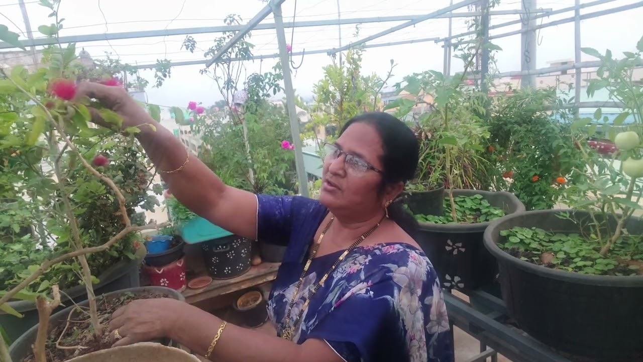 హాయ్ ఫ్రెండ్స్ మన గార్డెన్లో వెరైటీ ఫ్లవర్ ఉంది చూడండి ఈ రోజు