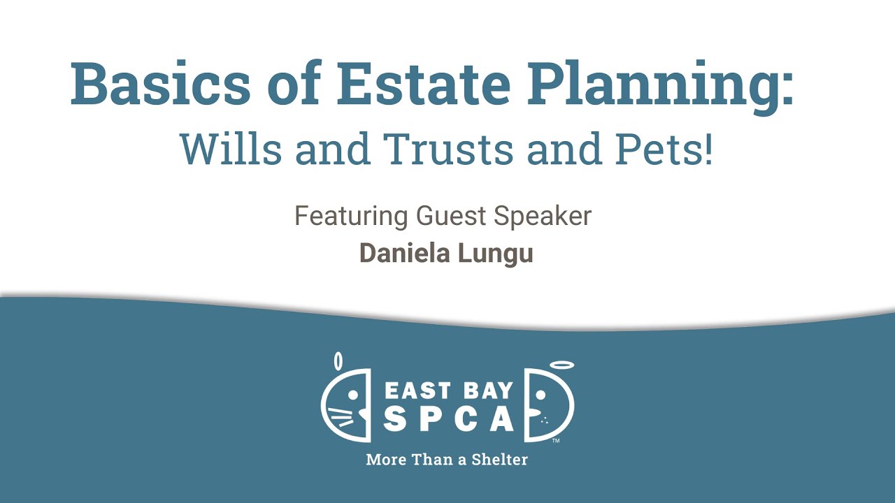 Basics of Estate Planning: Wills and Trusts and Pets | July 2025 Webinar