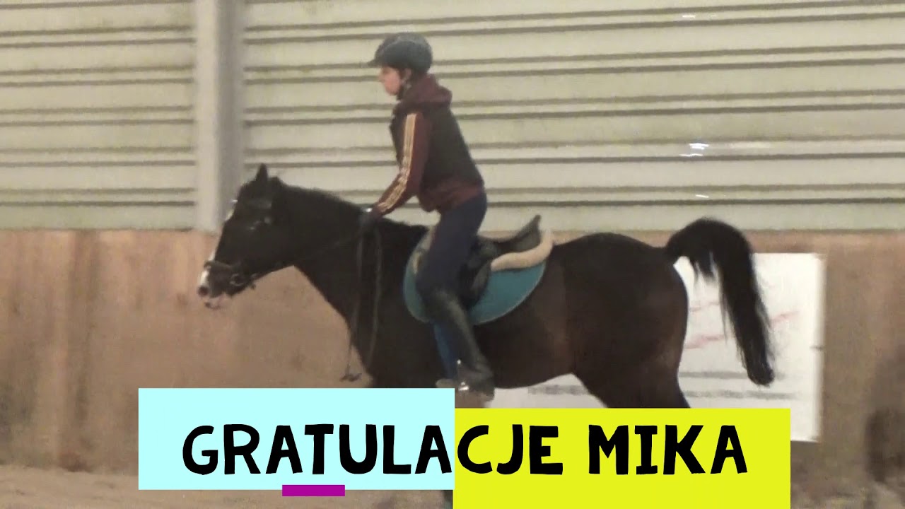 Horse jumping practise  17 11 2019