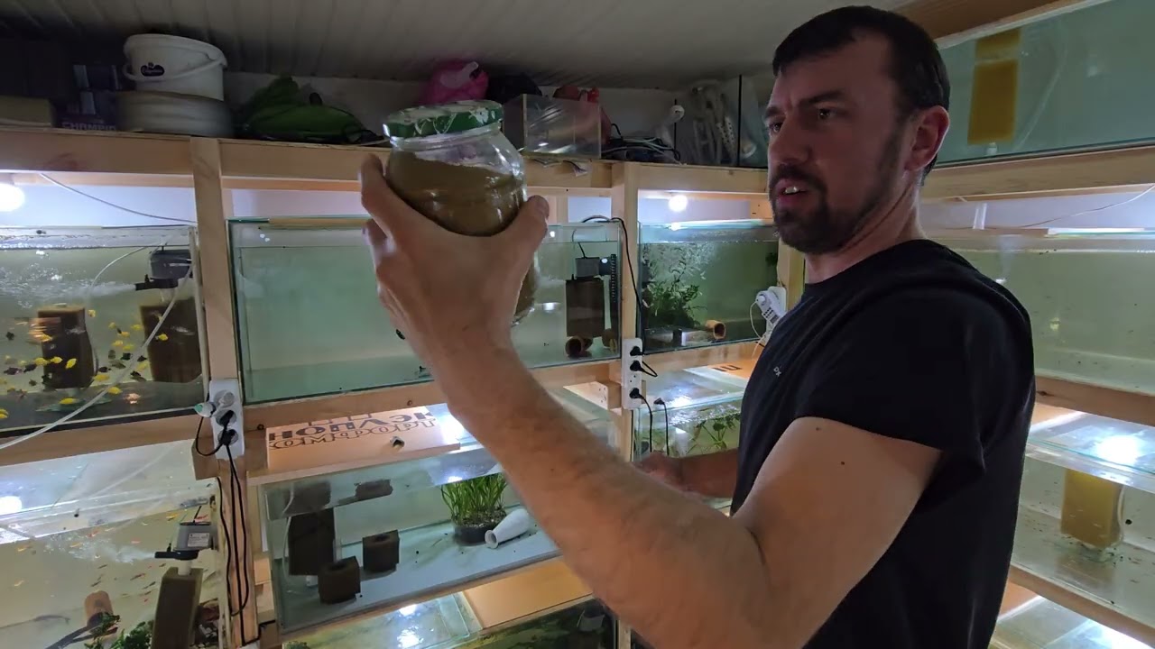 Ждал ждал и дождался, НОВОСТЬ НОМЕР 1