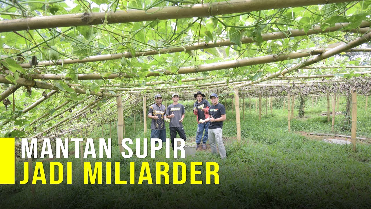 Mantan Supir Angkut Sayur Sukses Jadi Petani Labu Acar