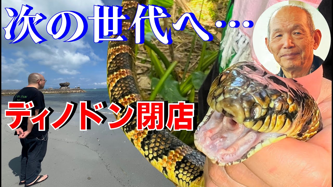 🇯🇵【高田爬虫類研究所・大谷さん お疲れさまでした！】沖縄ハーピングVlog 2020,2025