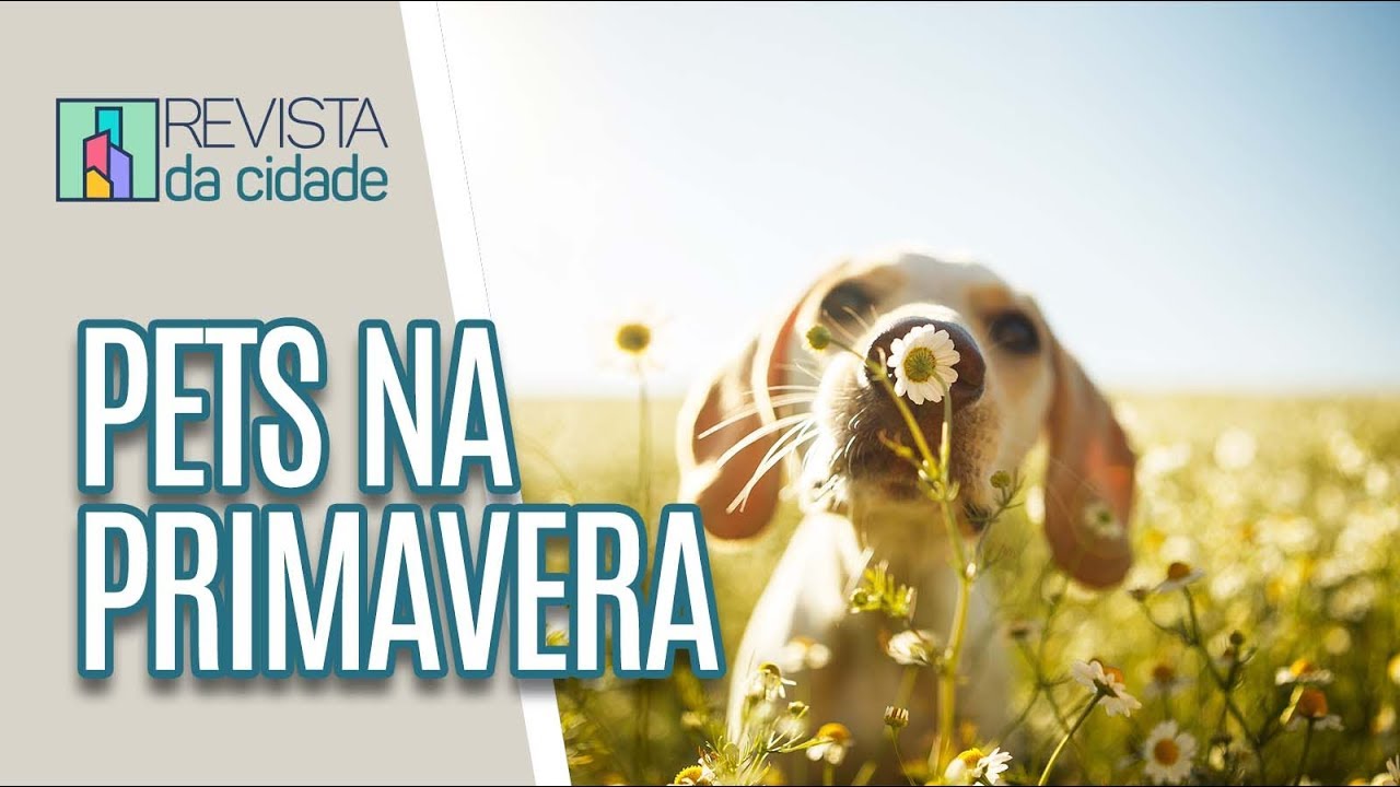 Saúde dos animais de estimação na primavera - Revista da Cidade (25/09/19)
