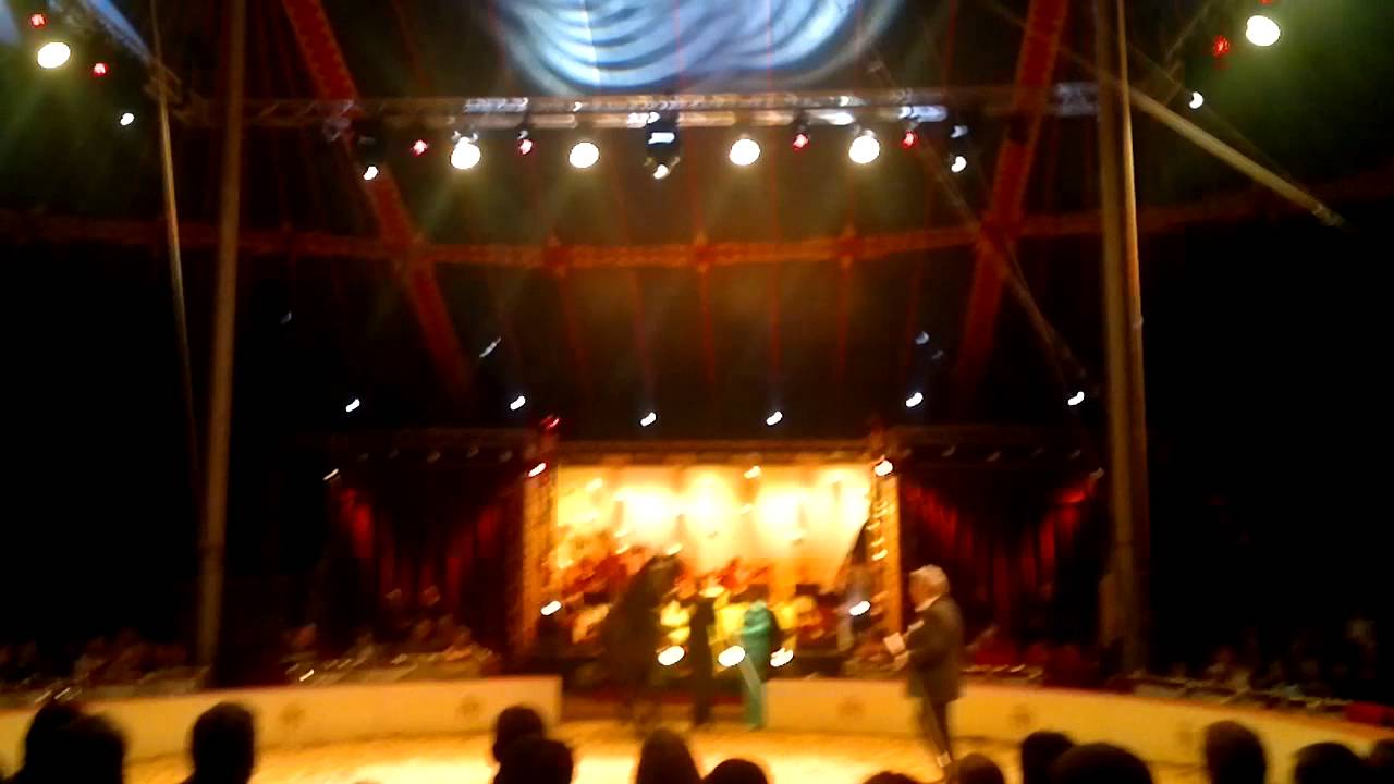 Rolina & John-Hugo Spindler / Pferdedressur