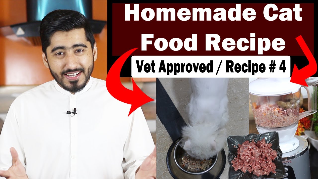 Healthy - Homemade Cat Food Recipe || Raw Beef -  Balanced Diet | Vet Approved || Vet Furqan Younas