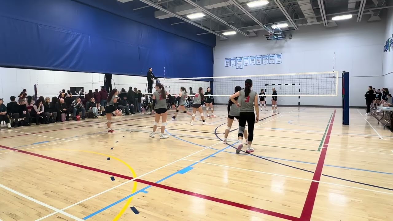 Invitation 2 VBQ 07/02/2026 - Lynx Gris c Laurier D1 SET 1