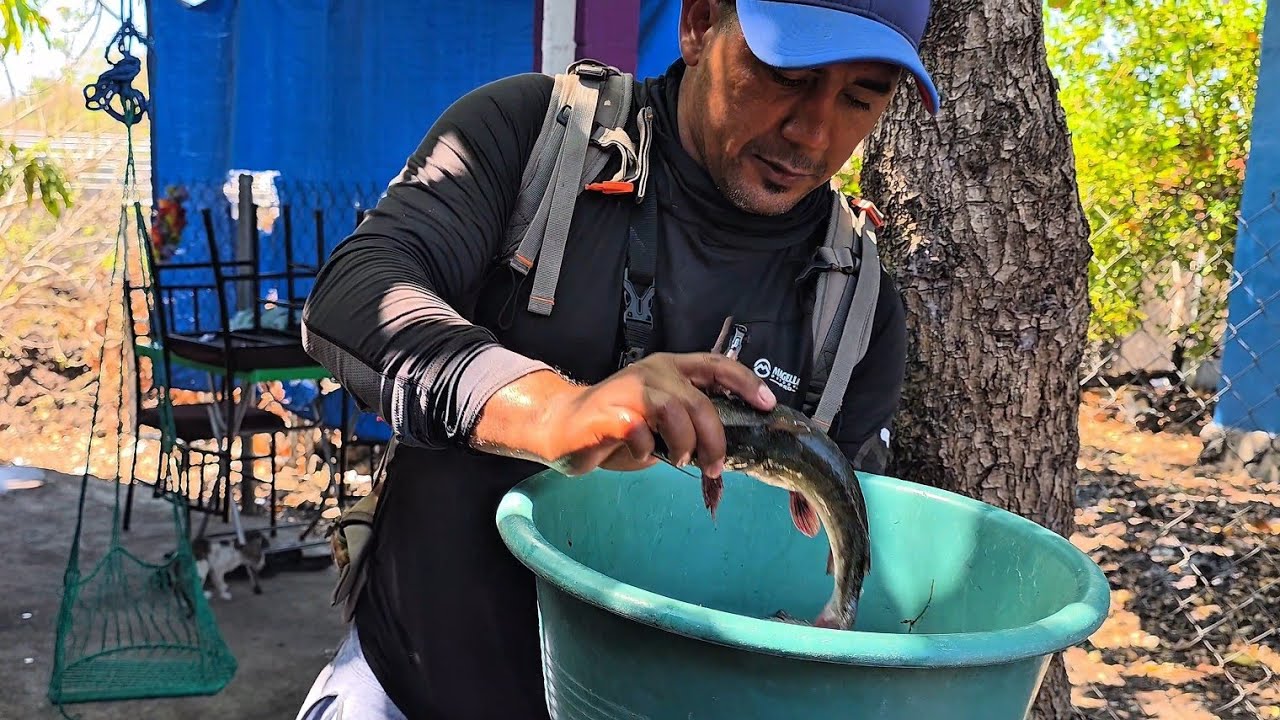Cocinando una sopa de bagres 🐟 de la pesca a la Cocina 