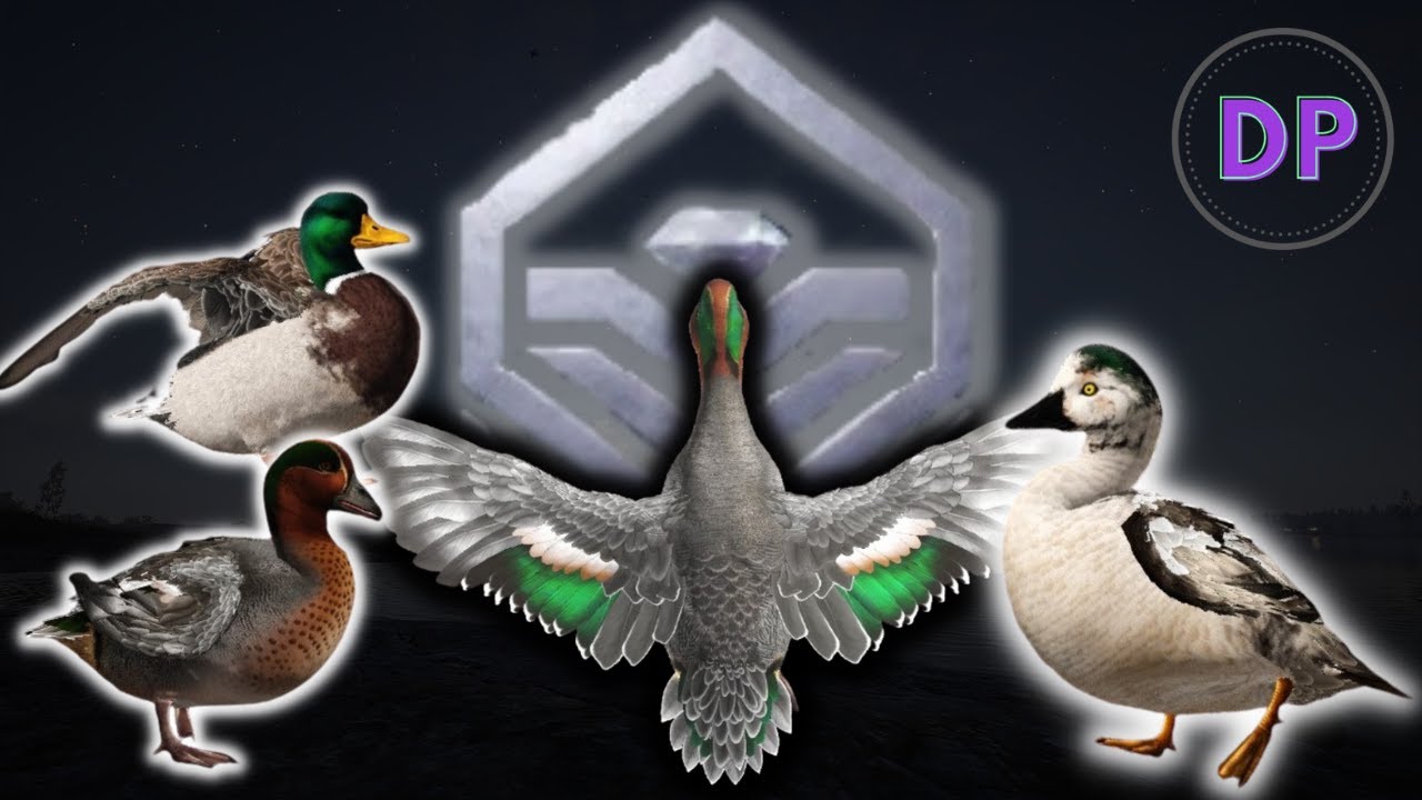 Revontuli Coast Waterfowl - Best Method for Diamonds? 3 Diamonds and a Rare!