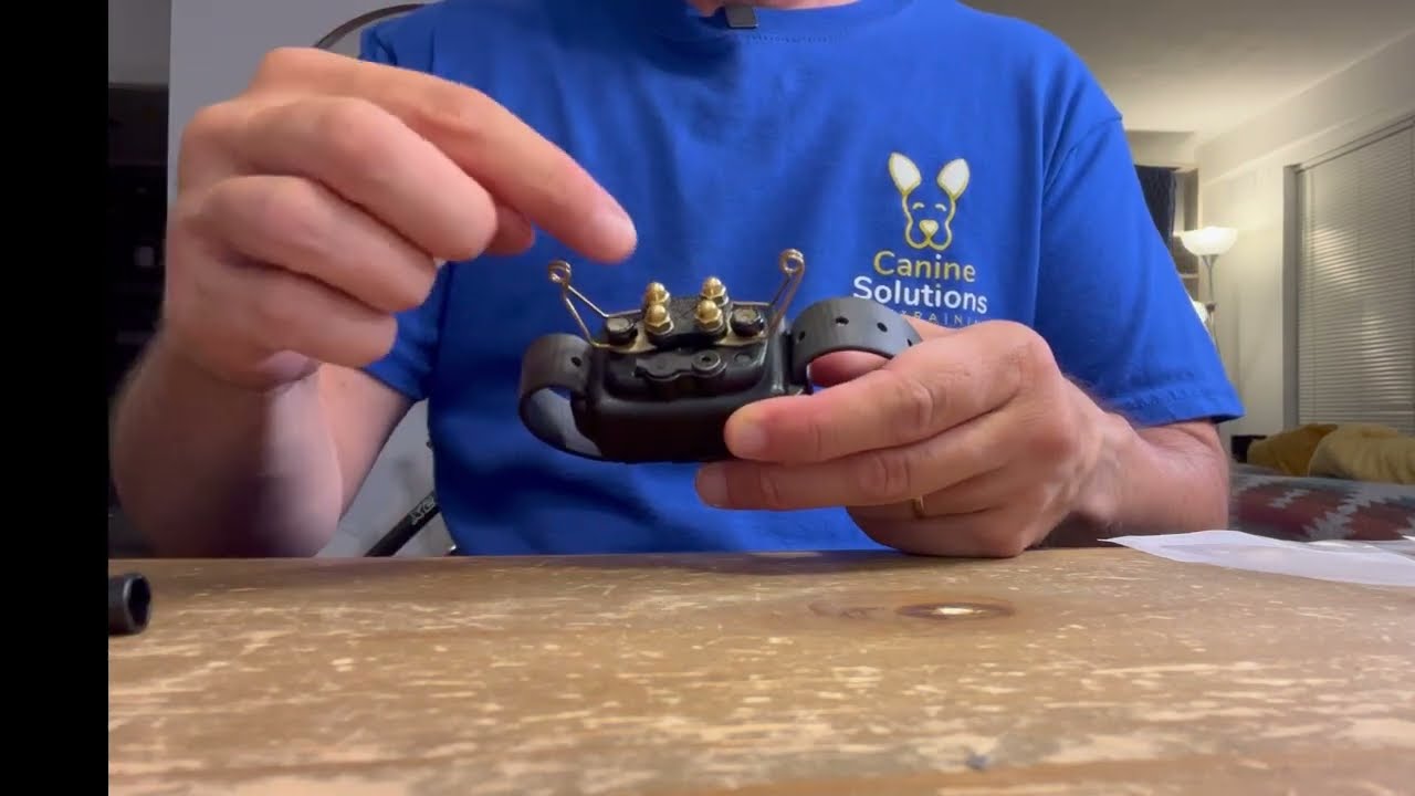 Ecollar Tutorial: How to to assemble Wingtip attachments on the ecollar technologies receiver