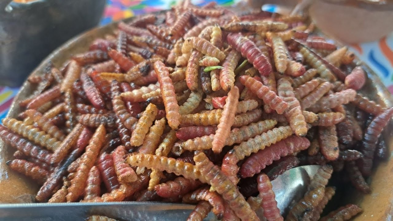 GASTRONOMIA EXOTICA de Hidalgo en Santiago de Anaya