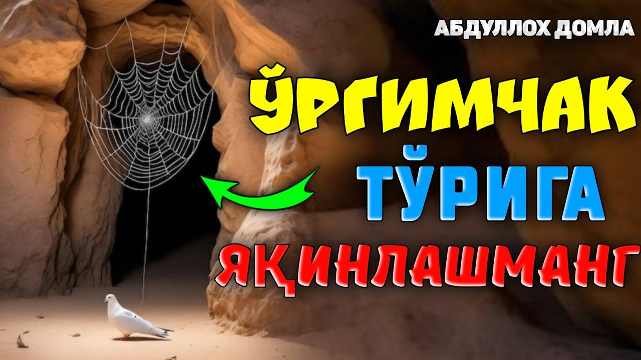 Ўргимчак тўрига асло яқинлашманг, сабаби... °Абдуллох Домла°Abdulloh Domla° #abdullohdomla #namoz
