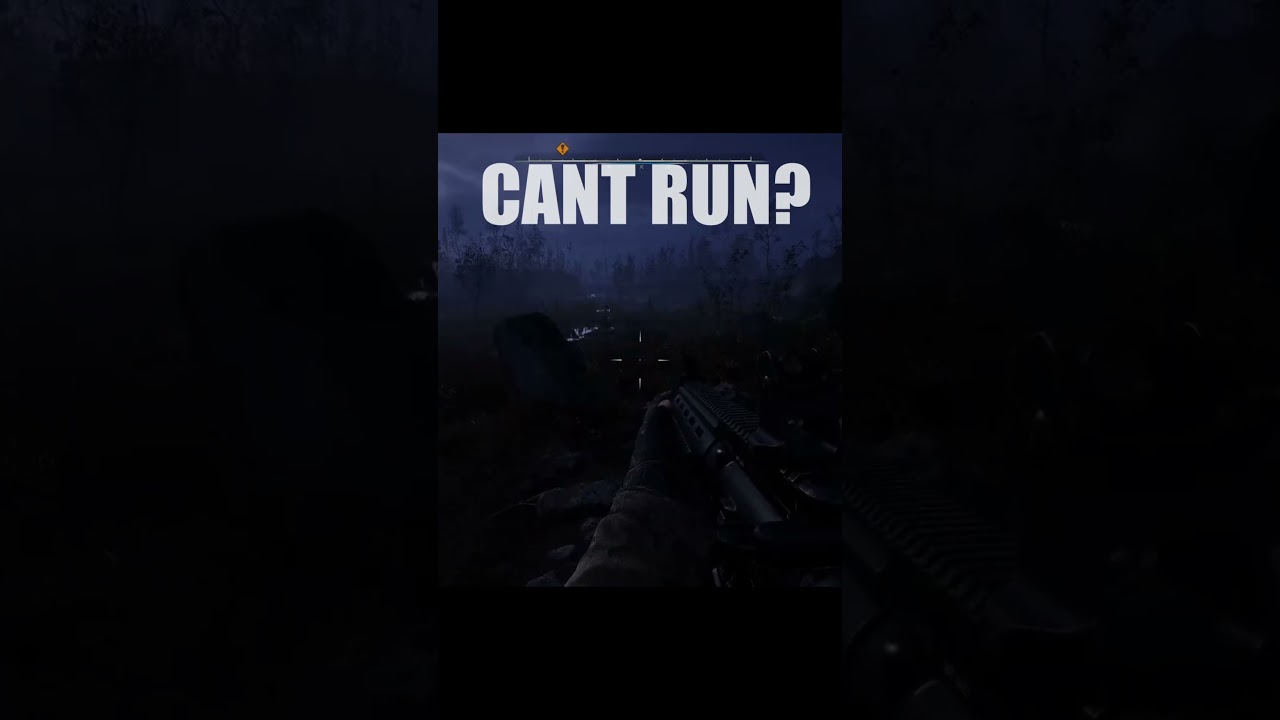 HOW TO FIX STALKER 2 SPRINT BUG