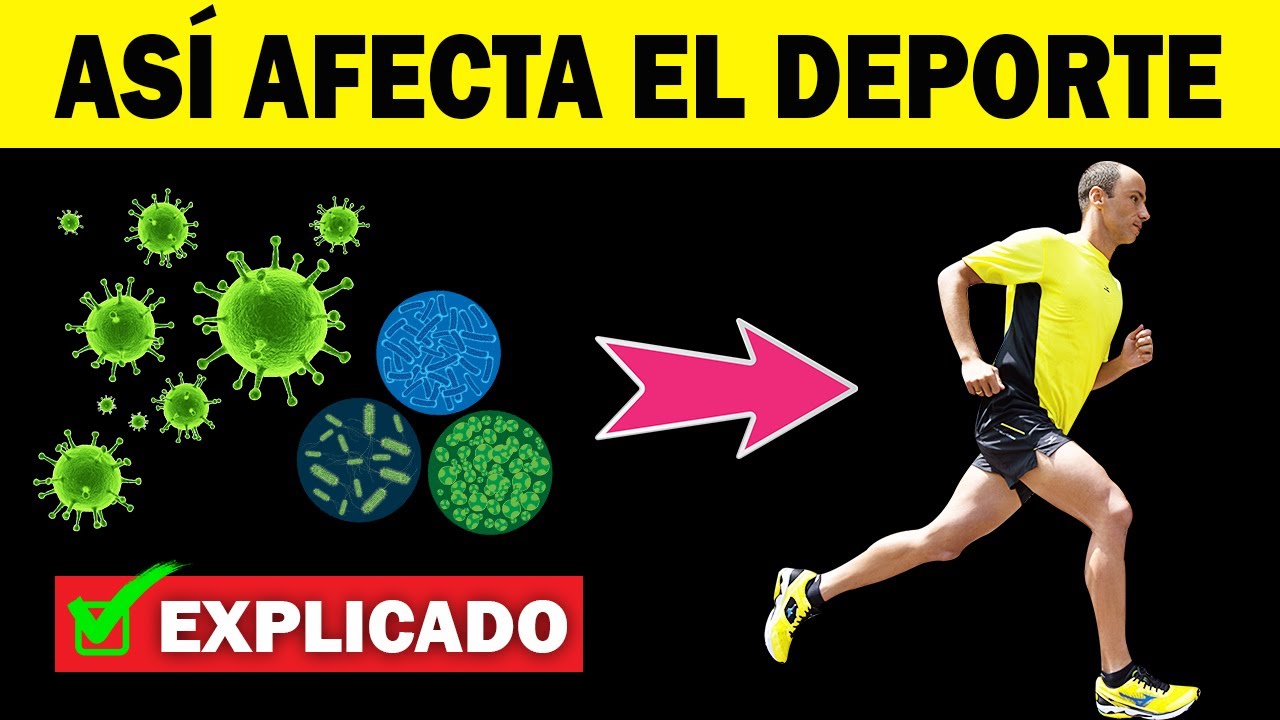 Entrenar PROVOCA RESFRIADO ó LO PREVIENE? 🤧 esto hace el deporte