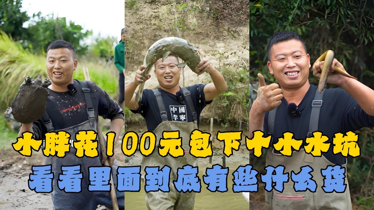 小胖花100元包下个小水坑，看看里面到底有些什么货？#户外抓鱼 #户外捕鱼 #小飞哥抓鱼 #乡村生活 #农村生活