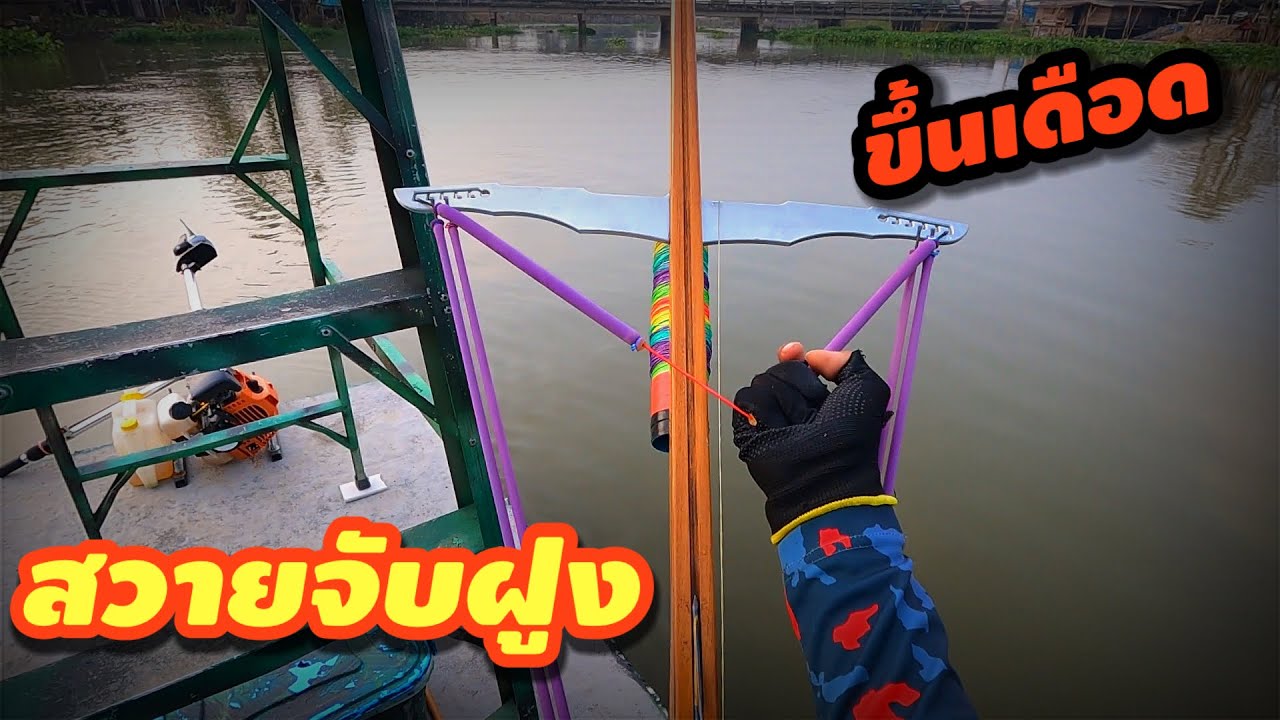 สวายจับฝูงสุดเดือด ผลงานเรือบรรได