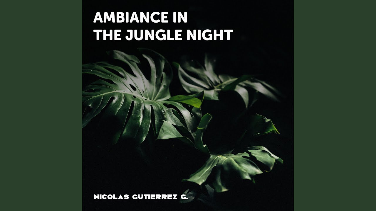 Ambiance in the Jungle Night