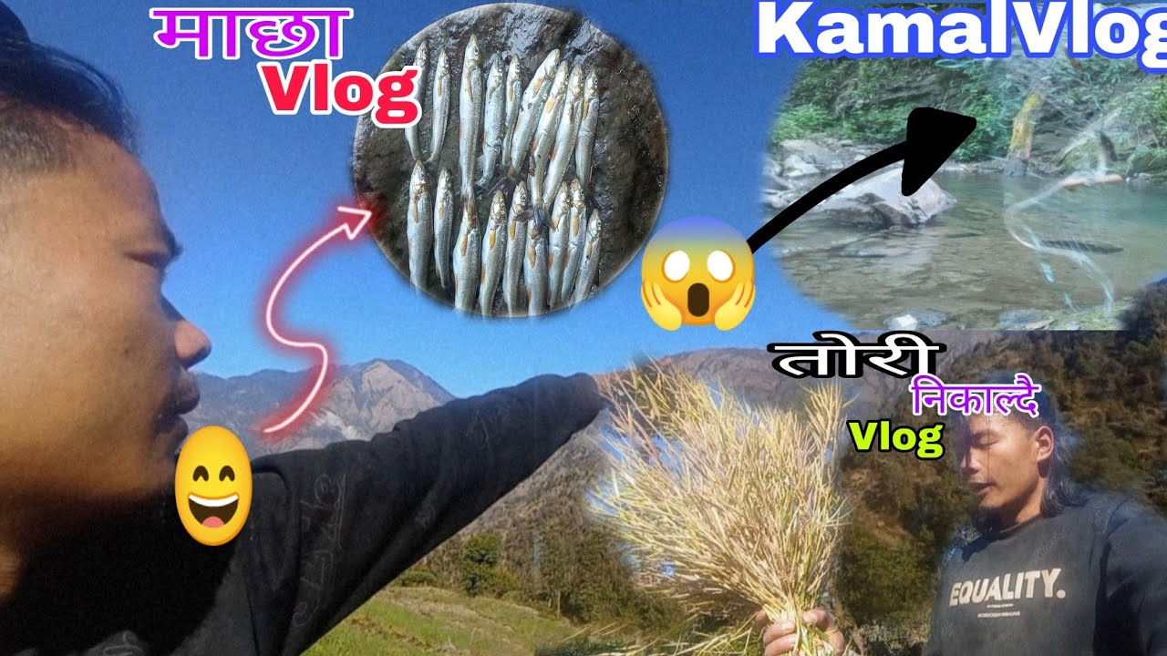 माछा खाने होइन त अब। आज को मरो भिडियो हेरे र तपाईंलाई पनि माछा खाउँ खाउँ लाग्ने छ (KamalVlog)
