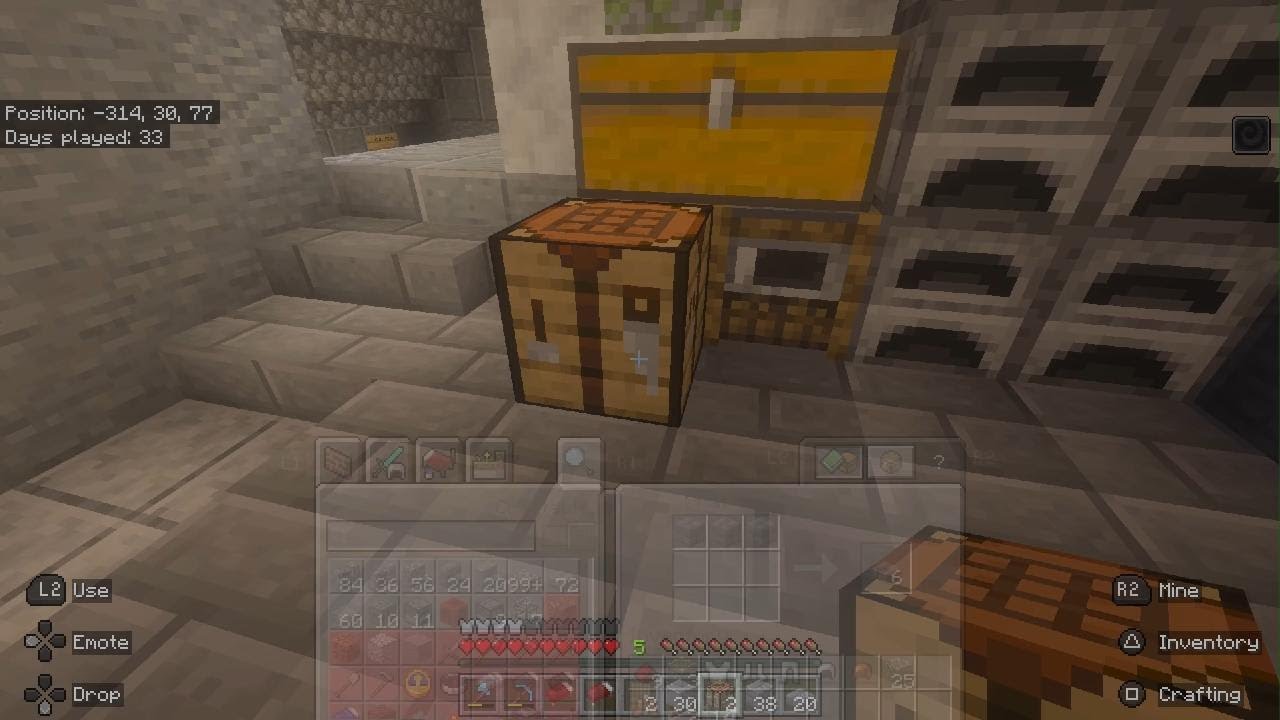 Minecraft with my friend