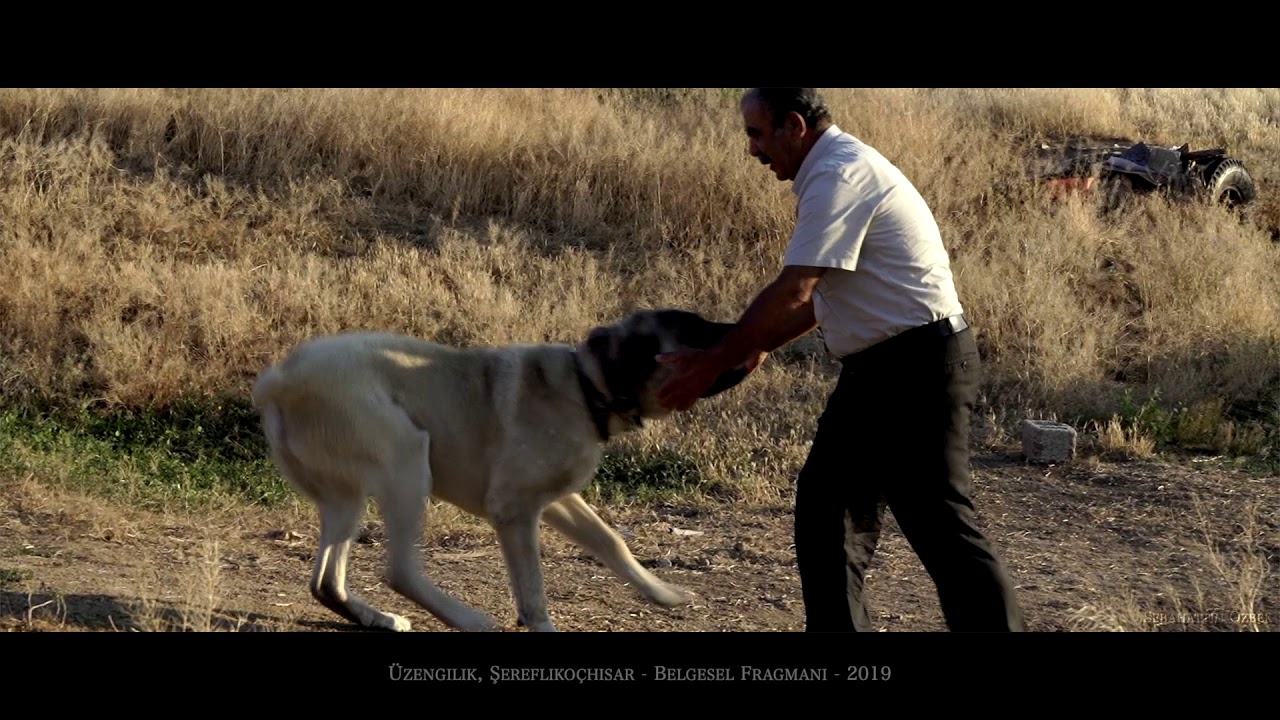 Üzengilik Mah, Şereflikoçhisar - Belgesel Fragmanı - 2019
