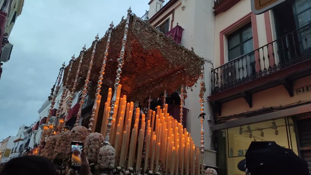 Hermandad del cachorro 2025, virgen del patrocinio en calle sierpes