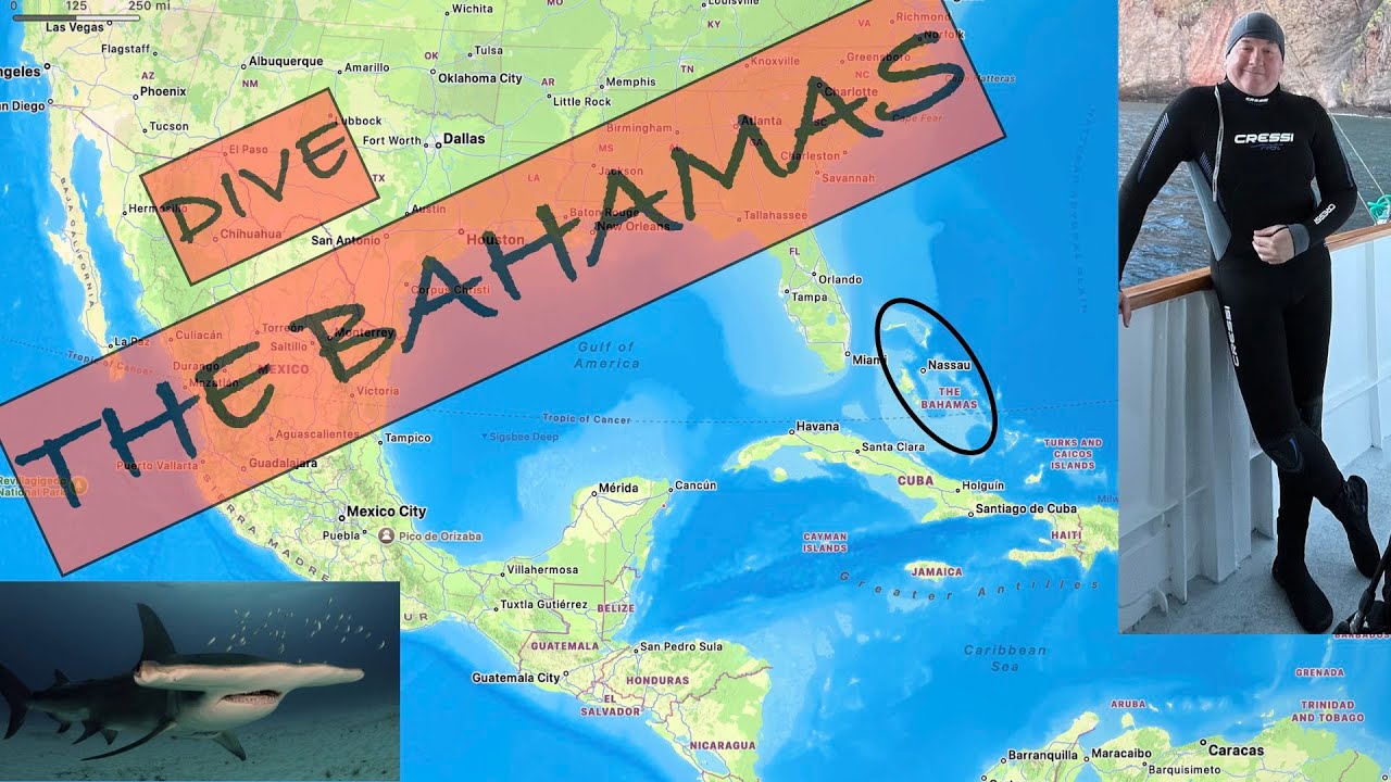 Dive the Bahamas